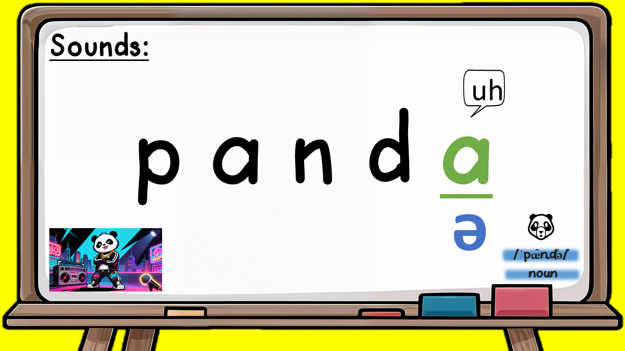 panda - schwa
